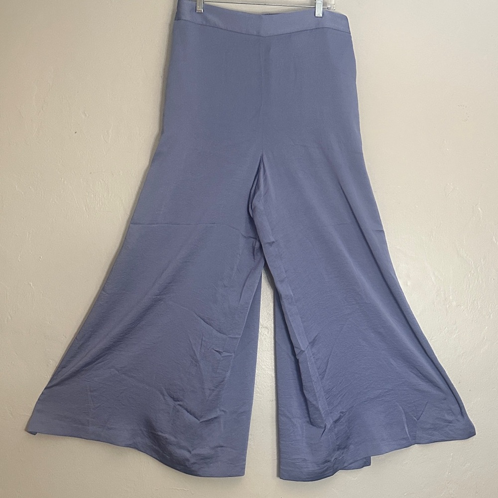 Express Lavender Wide-Leg Women's Pants